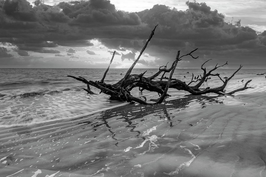 Waves at Sunrise Jekyll Island Black and White Photograph by Debra and Dave Vanderlaan