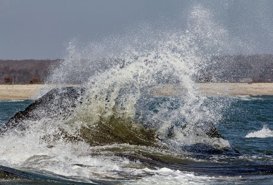 Waves Crashing in Westport Photograph by Denise Kopko