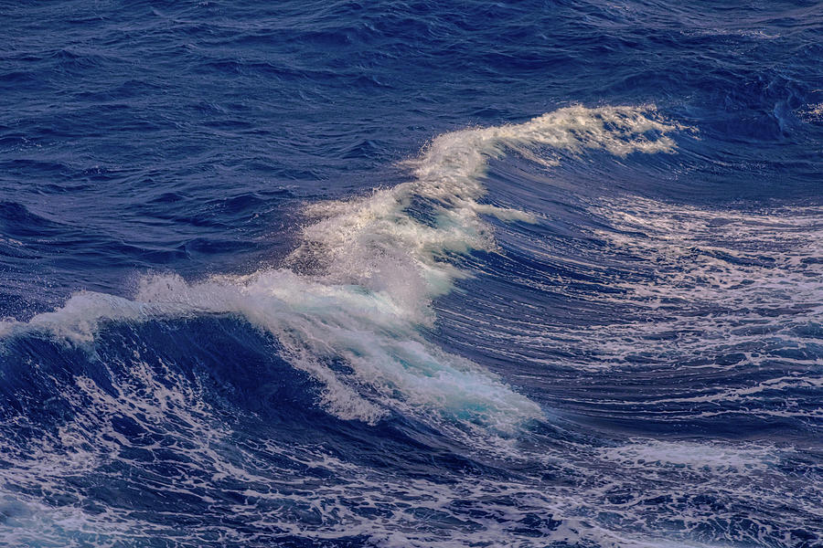 Caribbean Ocean Photograph - Waves Gracefully Cresting by James BO Insogna
