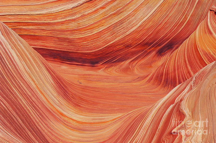 Waves in the Sandstone One Photograph by Bob Phillips