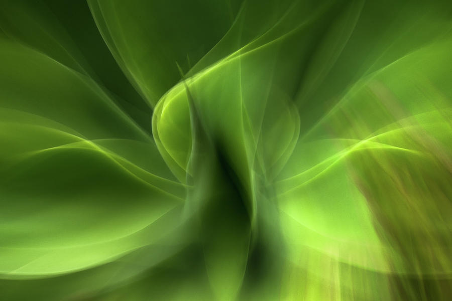 Waves of Green Photograph by Linda Villers
