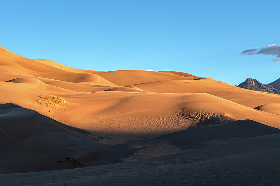 Great Sand Dunes National Park Photograph - Waves Of Morning Light by Angelo Marcialis