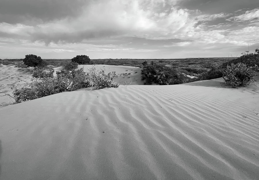 Waves of Sand-1-BW, Maljamar, New Mexico Photograph by Richard Porter