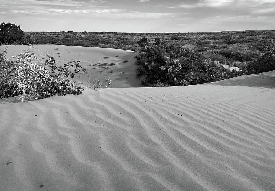 Waves of Sand-2-BW, Maljamar, New Mexico Photograph by Richard Porter