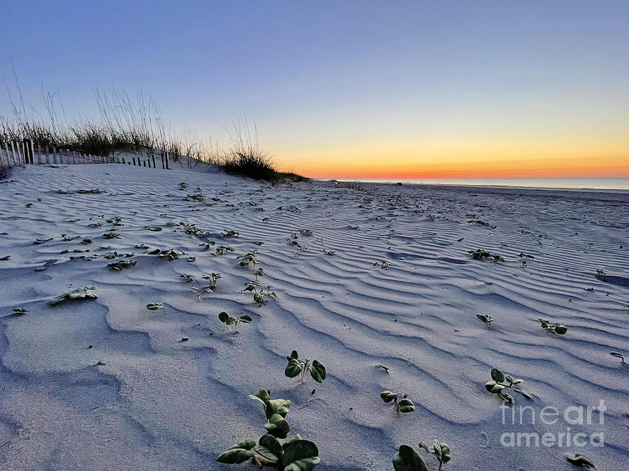 Waves of Sand at Sunrise 3572 Photograph by Jack Schultz