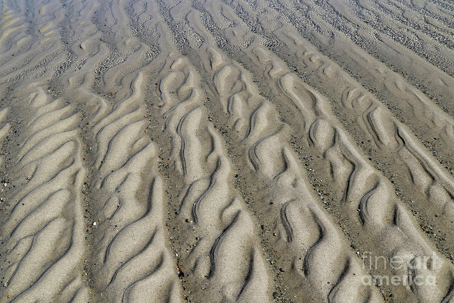 Waves of Sand Photograph by Marcy Ford