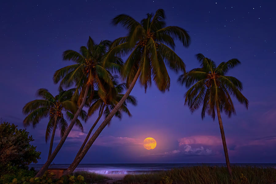 Waves Under the Moonlight Photograph by Mark Andrew Thomas
