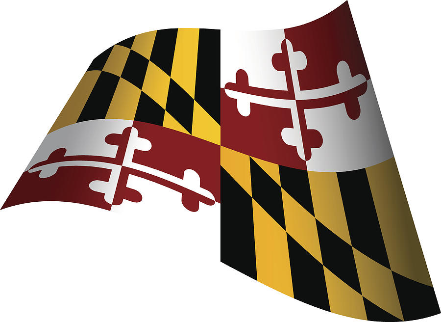 Waving Flag of Maryland Drawing by Poligrafistka