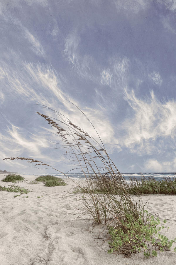Waving in the Dune Cottage Wind II Painting Photograph by Debra and Dave Vanderlaan