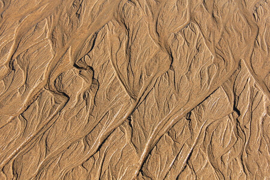 Wavy Photograph by Dodie Ross Wavy Photograph by Dodie Ross