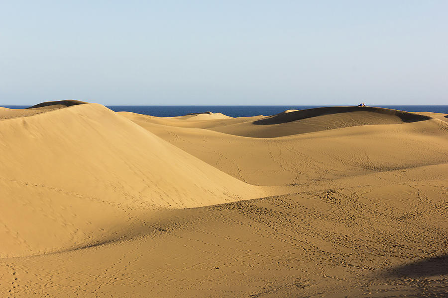Wavy Dunes Photograph by Josu Ozkaritz