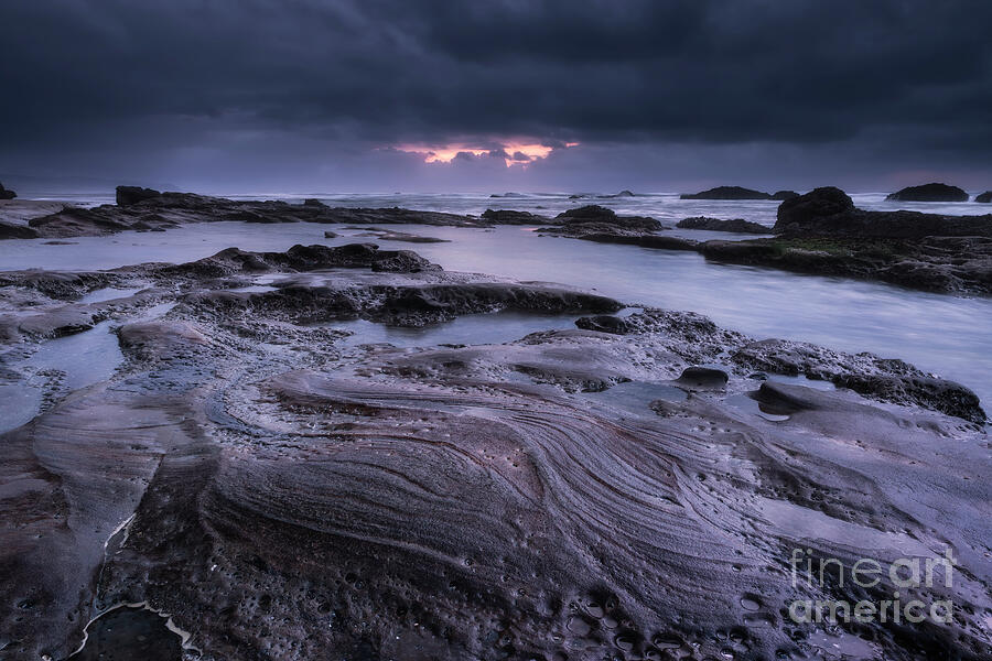Wavy Rocks on the Coast Photograph by Masako Metz