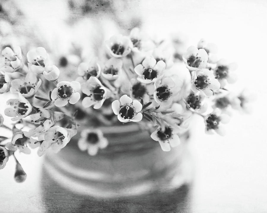 Wax Flowers Photograph by Lupen Grainne