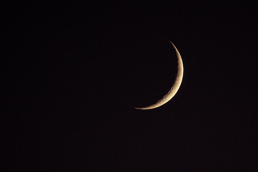 Waxing Crescent Moon Photograph by Denise Kopko