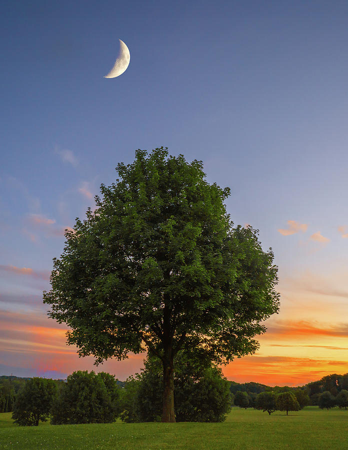 Waxing Crescent Over a Sunset Photograph by Jason Fink