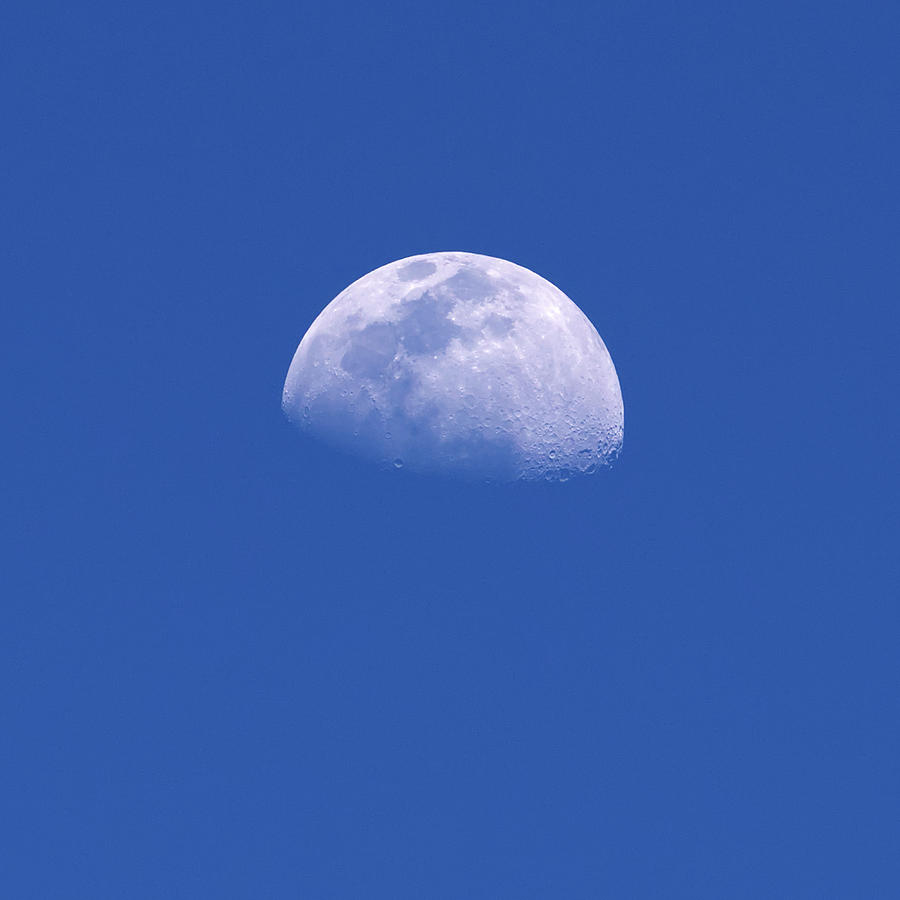 Waxing Gibbous Moon Photograph by Flinn Hackett