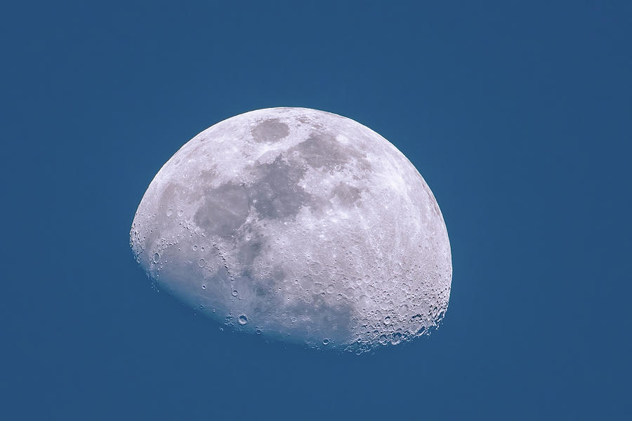 Waxing Gibbous Moon in Blue Sky Photograph by Bradford Martin