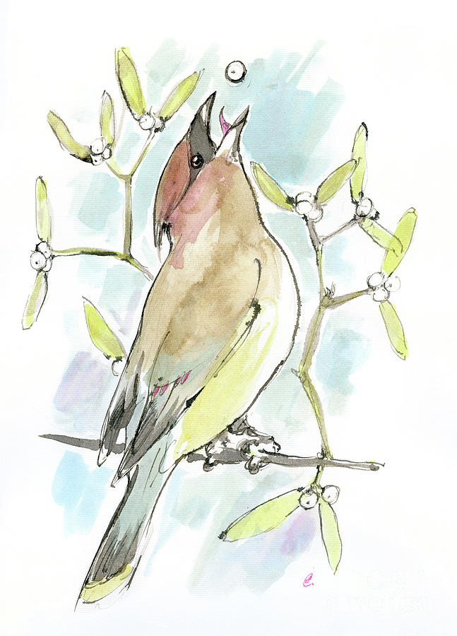 Christmas Painting - Waxwing and mistletoe by Ang El