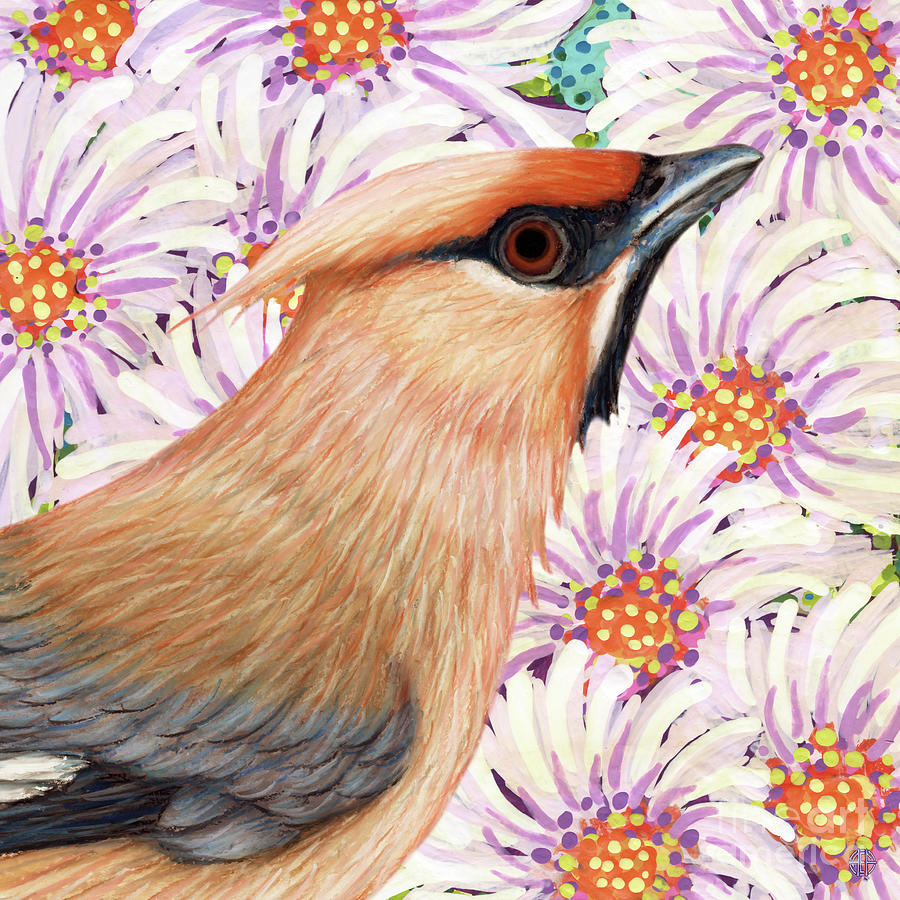 Waxwing In The Daisies Painting by Amy E Fraser