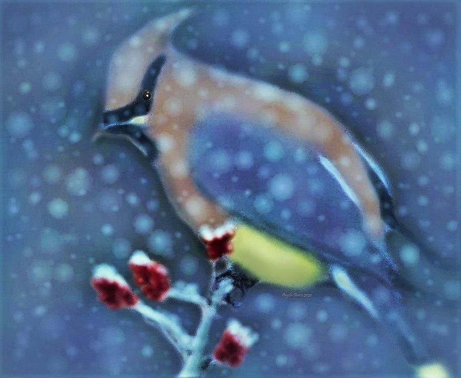 Waxwing in the Winterberry Photograph by Angela Davies