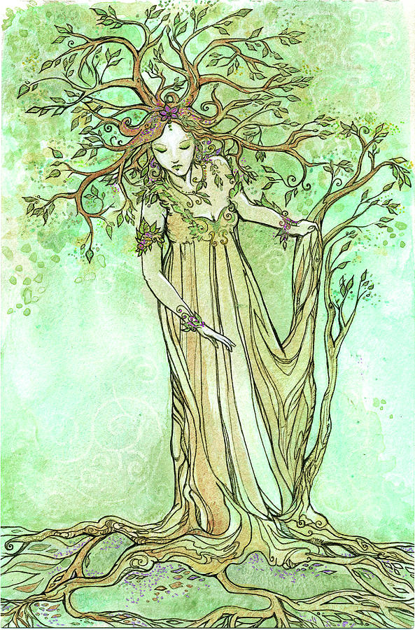 Way of the Dryad Drawing by Katherine Nutt