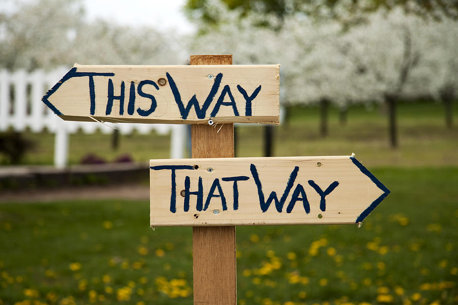 Way sign This Way, That Way Photograph by Lisa Stokes