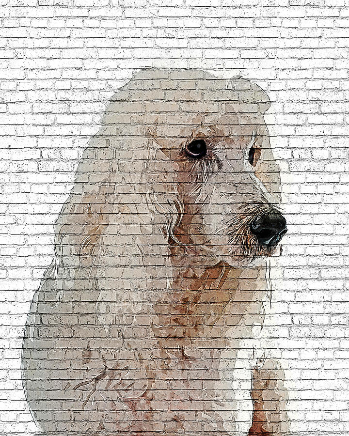 Way too cool, Standard Poodle Dog - Brick Block Background Painting by Custom Pet Portrait Art Studio