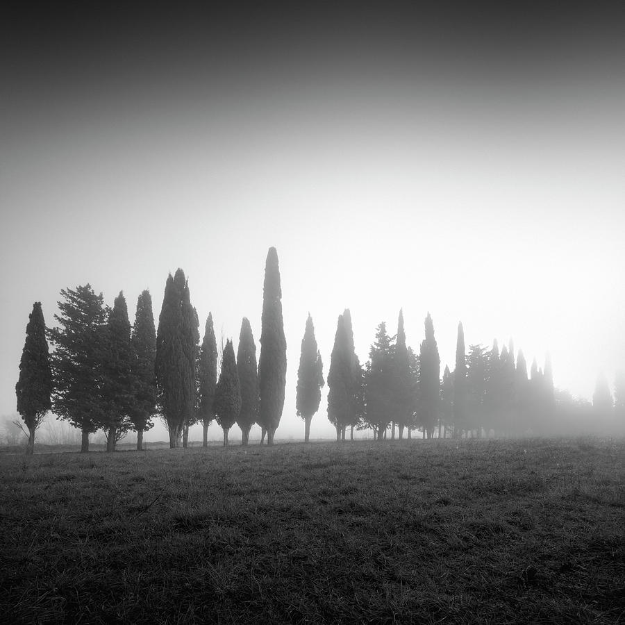 We are not all the same. Tuscany Photograph by Stefano Orazzini
