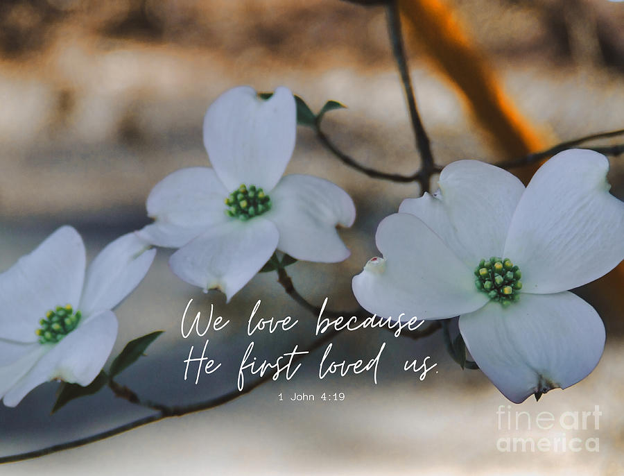 We love Because He first loved us  Photograph by Andrea Anderegg