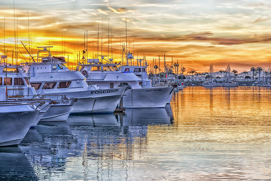San Diego Sportfishing Fleet Photograph by Joseph S Giacalone