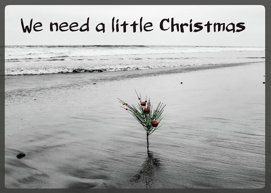 Christmas Photograph - We Need A Little Christmas by Alison Frank