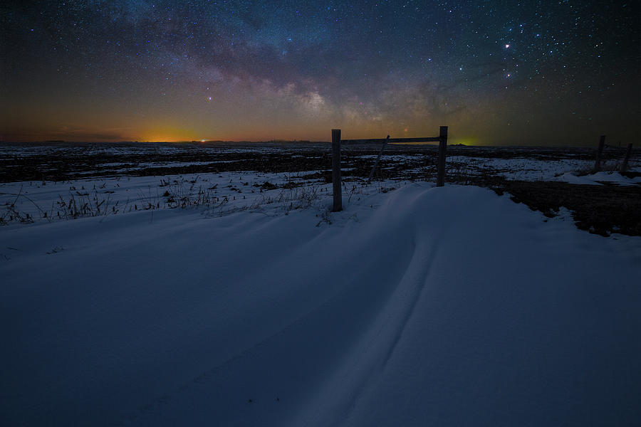 We only come out at Night  Photograph by Aaron J Groen