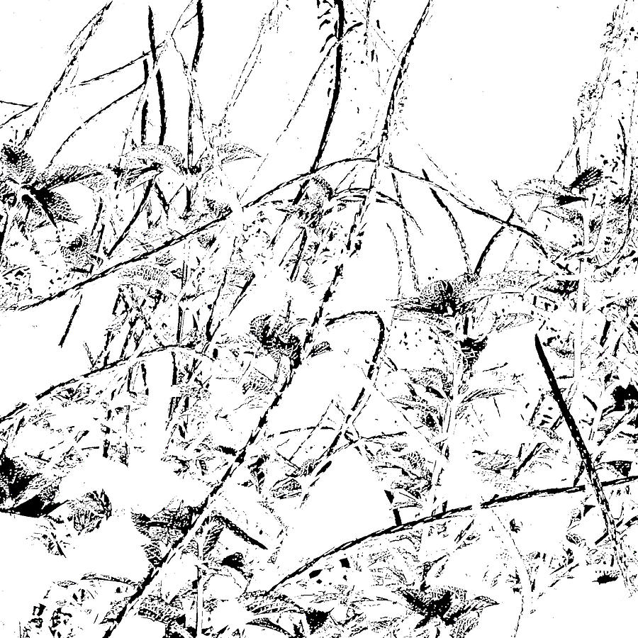 We Were Digital Art by Fran Hogan We Were Digital Art by Fran Hogan