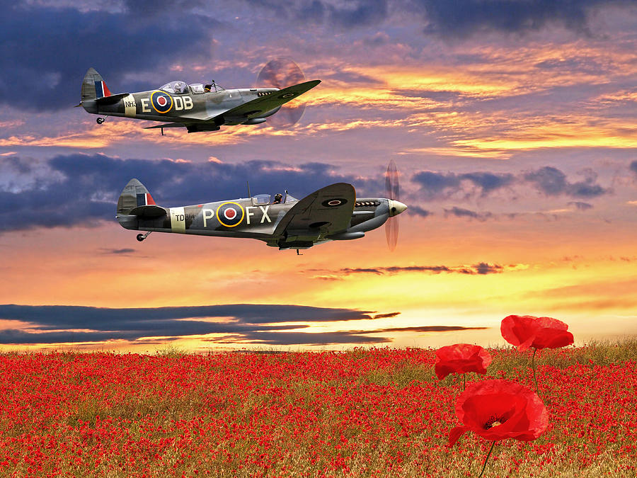 We Will Remember Them - Spitfires Over Poppy Field Photograph by Gill Billington