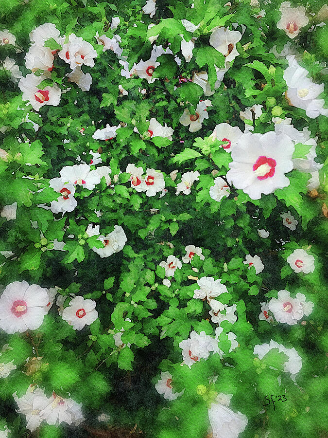 Wealth-Blooming Rose of Sharon Tree in Springtime Mixed Media by Shelli Fitzpatrick Wealth-Blooming Rose of Sharon Tree in Springtime Mixed Media by Shelli Fitzpatrick