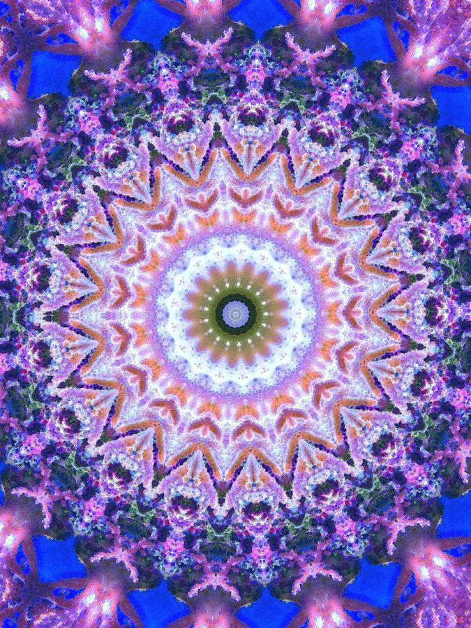 Wealth of the mandala Digital Art by Ruth's other Artistic vision - Pixels