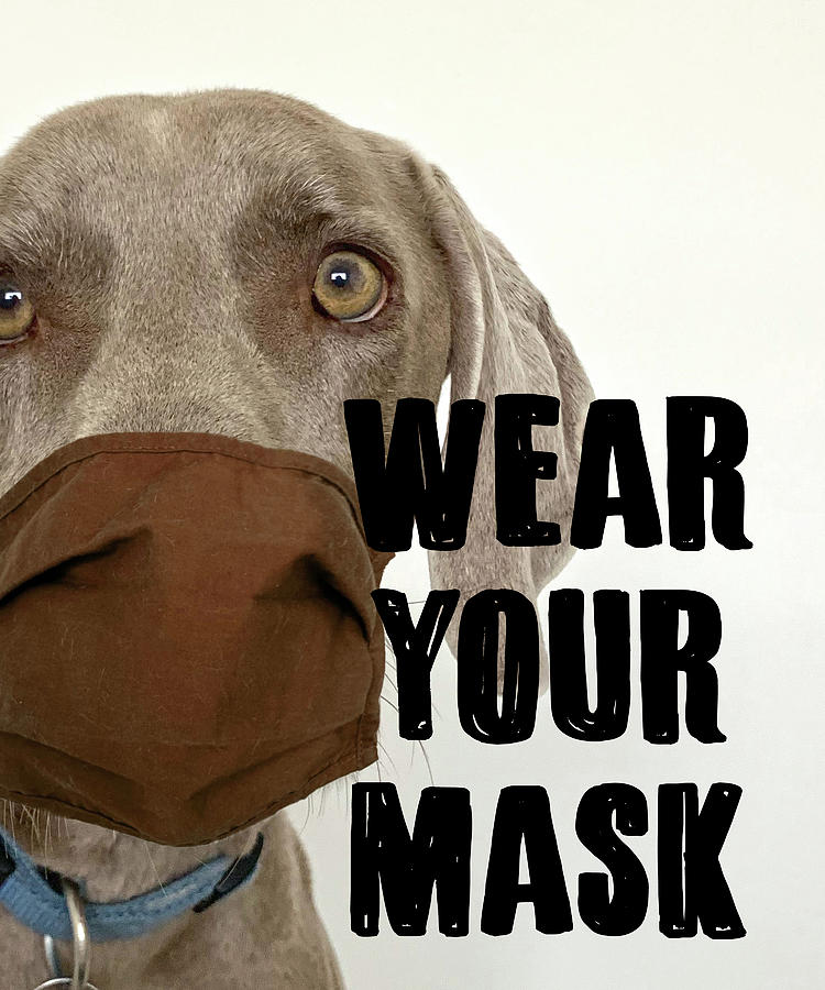 Wear Your Mask Mixed Media by Nancy Ingersoll