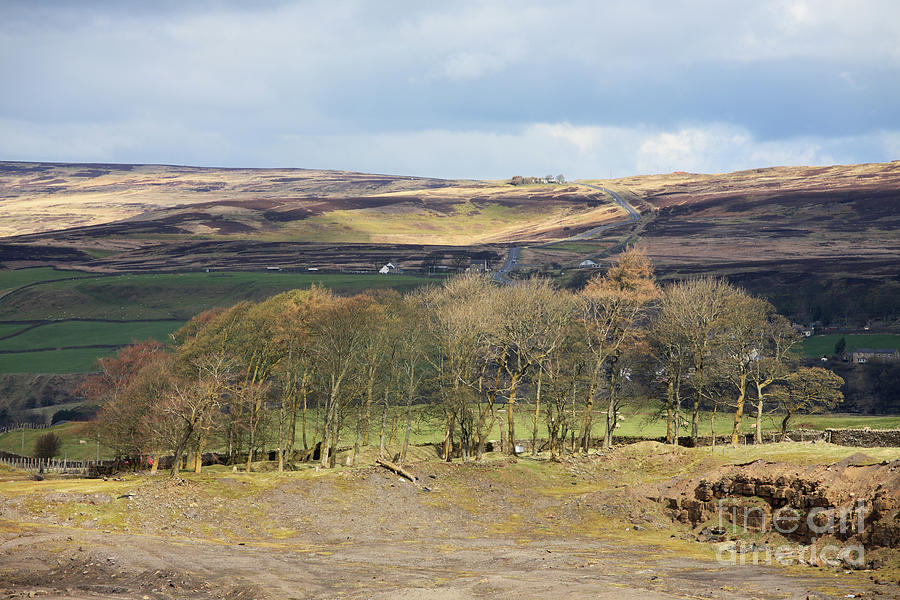 Weardale moorland Photograph by Bryan Attewell