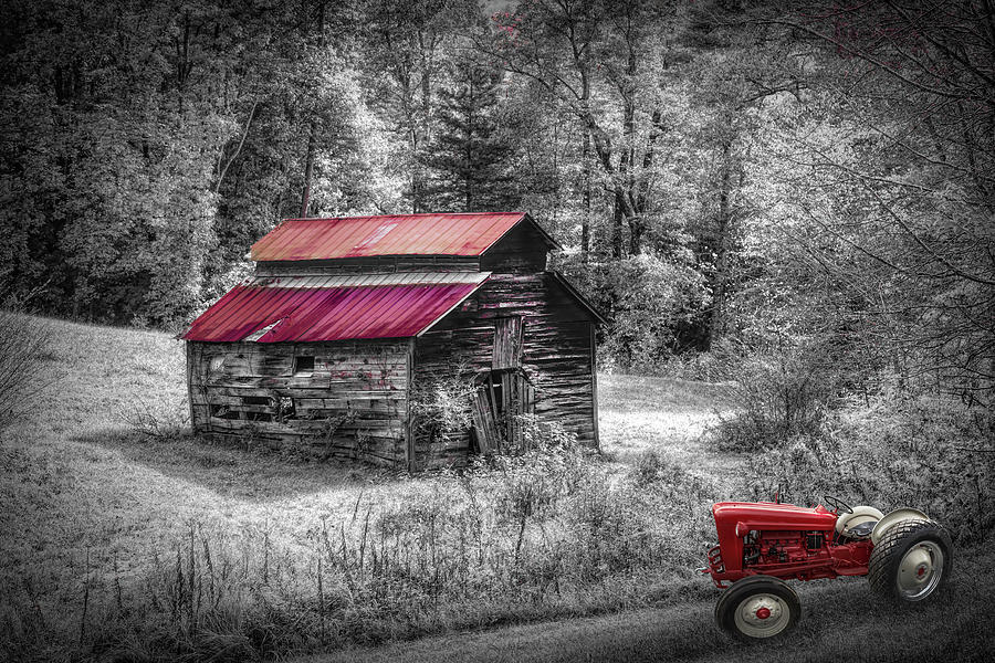 Wearing Autumn Colors in the Country Black and White and Red Photograph by Debra and Dave Vanderlaan