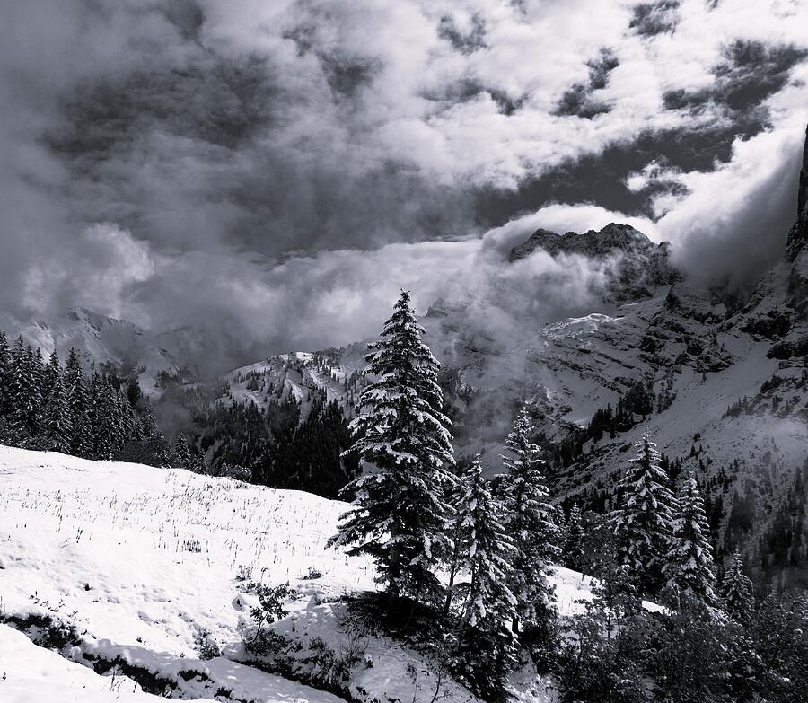 Weather Surprise in B and W Photograph by Leslie Struxness Weather Surprise in B and W Photograph by Leslie Struxness