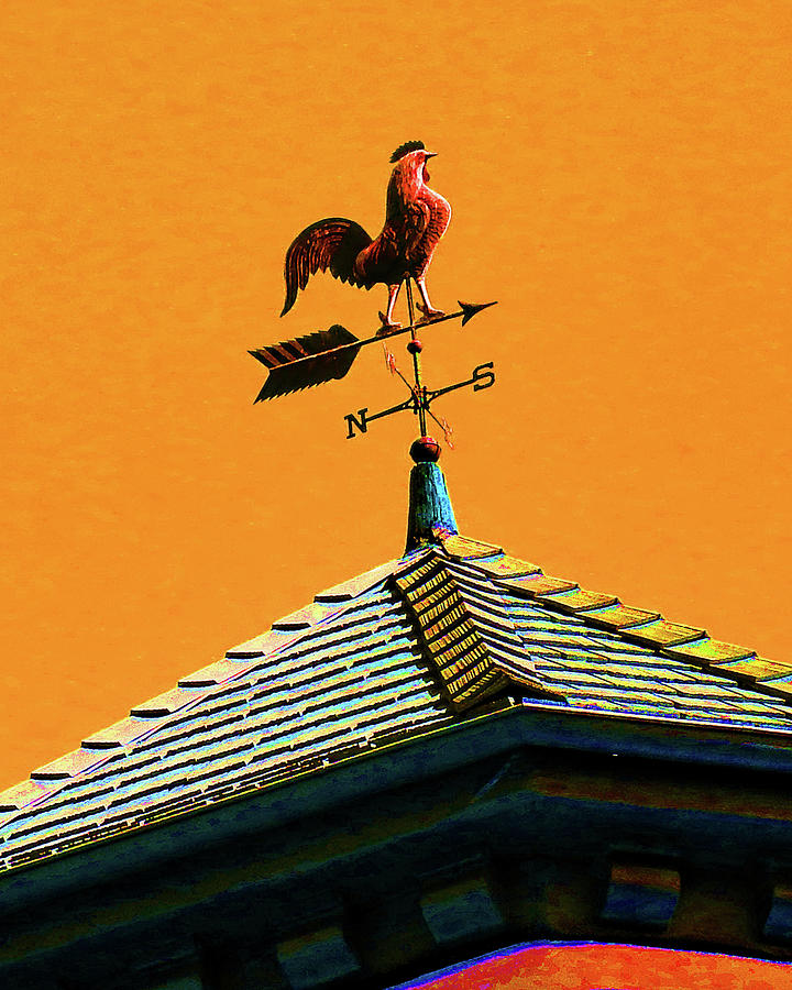 Weather Vane Photograph by Andrew Lawrence