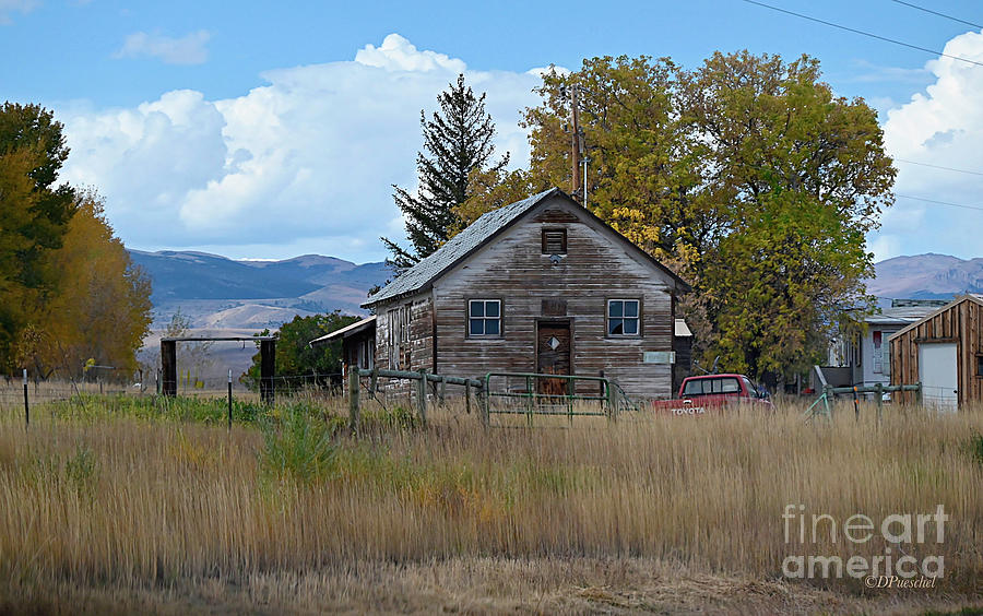 Weathered Along the Roadside Photograph by Debby Pueschel