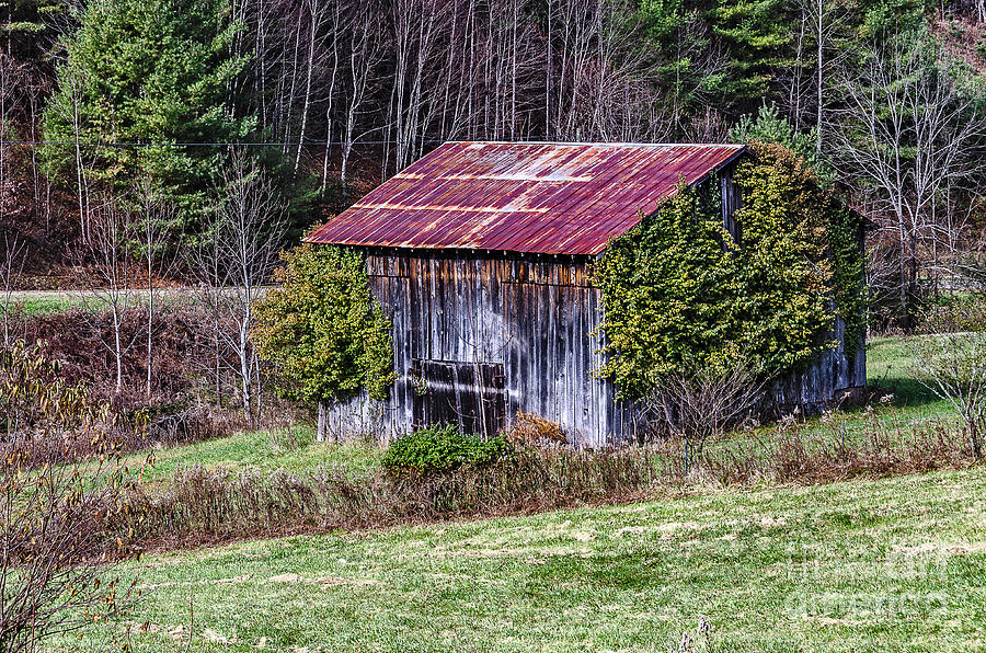 Weathered Barn With Bright Red Roof Photograph