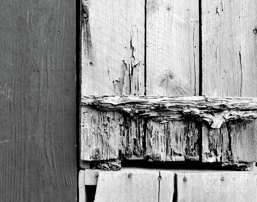 Weathered Barn Wood Photograph by Sharon Williams Eng