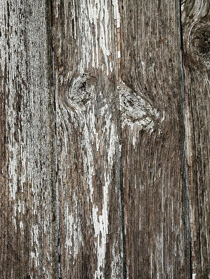 Farm Photograph - Weathered Barn Wood, Wisconsin by Steven Ralser