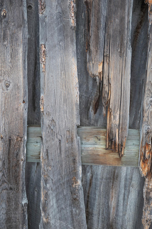 Weathered Boards Photograph by Karen Rispin