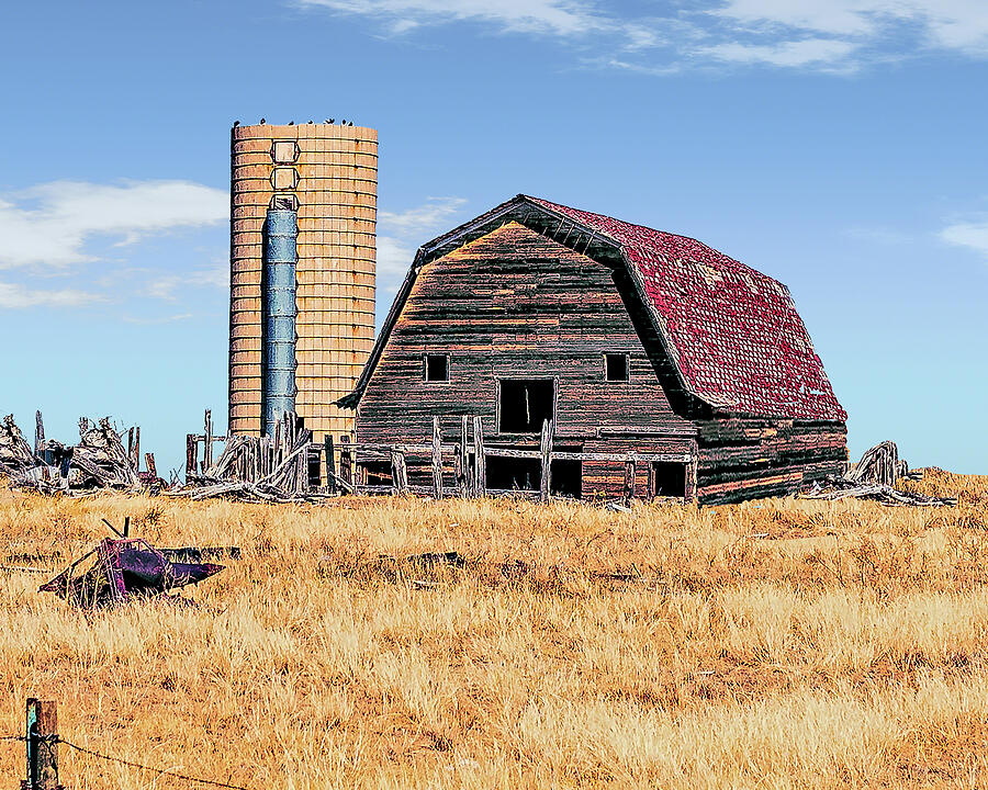 Weathered  Colorado Silo Barn Photograph by William Havle
