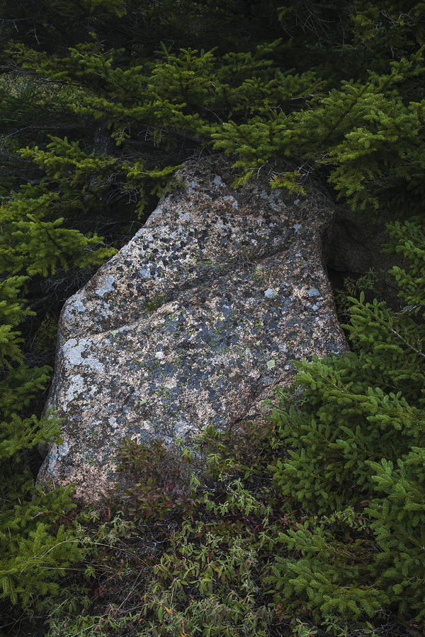 Weathered Granite, Acadia NP Photograph by Jerry Whaley