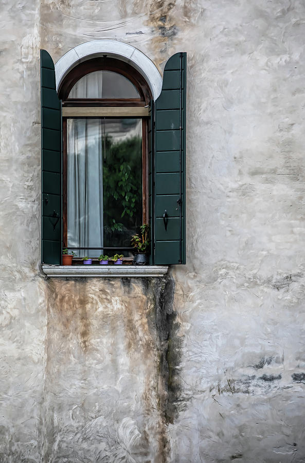 Weathered Green Window of Venice Photograph by David Letts
