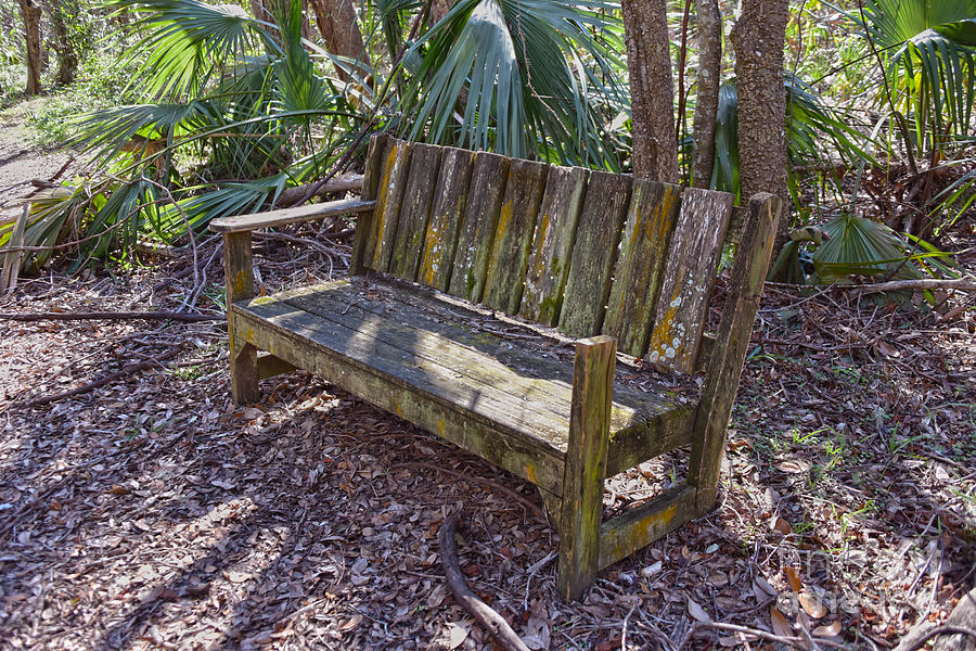Weathered Park Bench Photograph